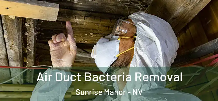 Air Duct Bacteria Removal Sunrise Manor - NV