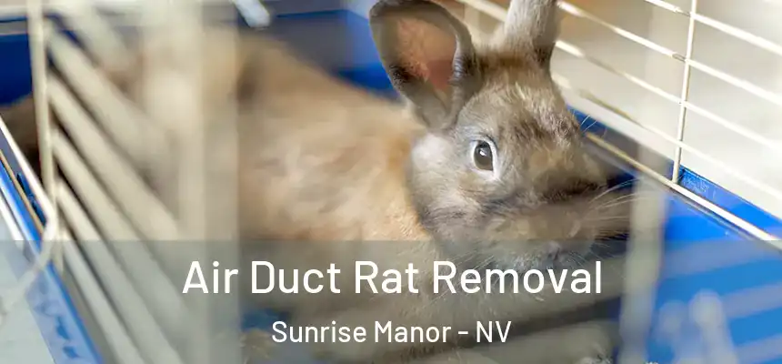 Air Duct Rat Removal Sunrise Manor - NV