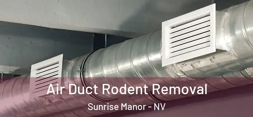Air Duct Rodent Removal Sunrise Manor - NV