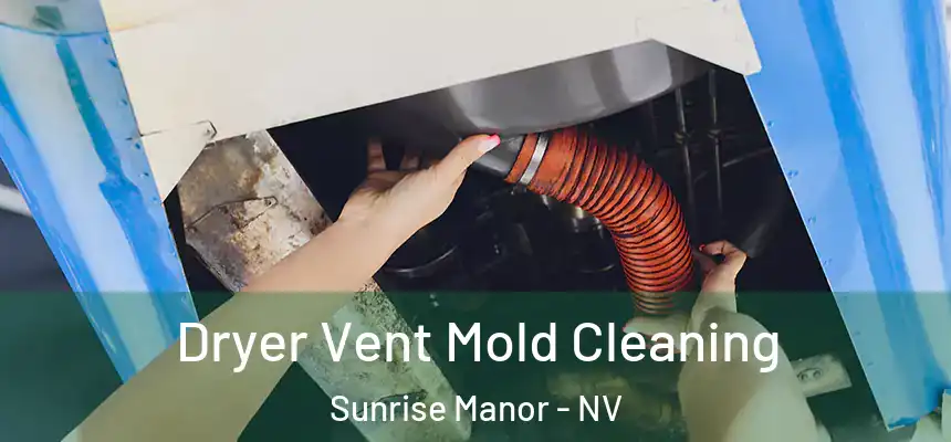  Dryer Vent Mold Cleaning Sunrise Manor - NV