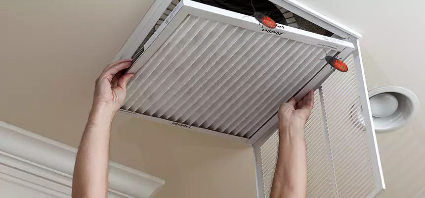 Preventive Cockroach-Proofing for Ducts in Sunrise Manor