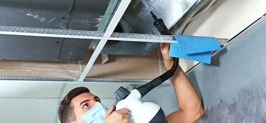 Our Air Duct Rodent Removal Services in Sunrise Manor, NV