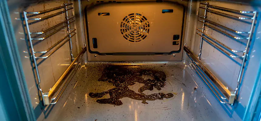 Our Dryer Vent Mold Cleaning Services in Sunrise Manor, NV