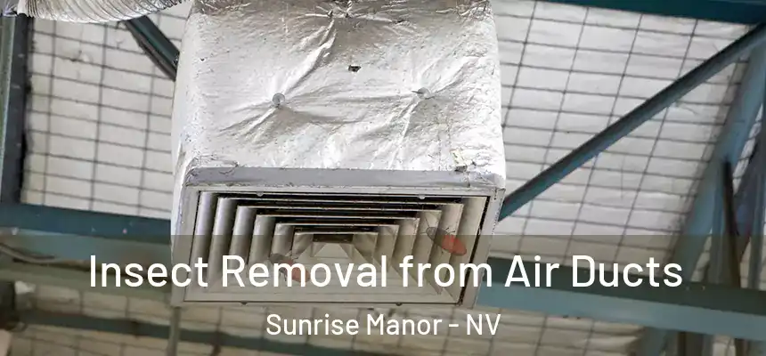  Insect Removal from Air Ducts Sunrise Manor - NV