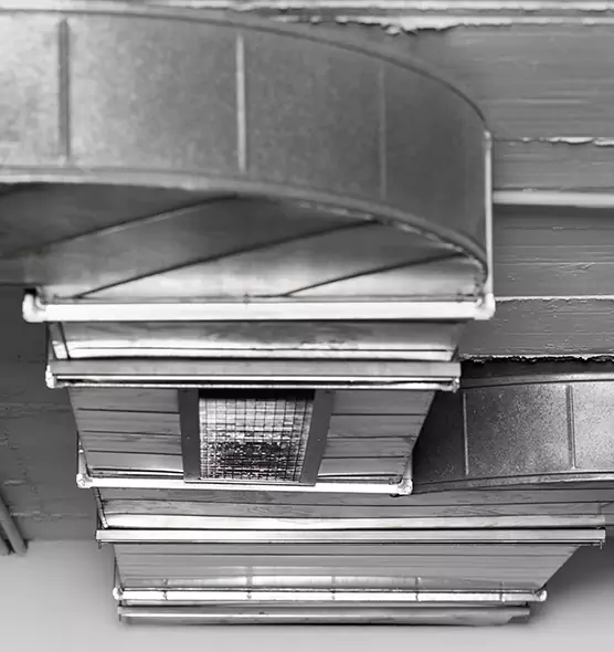 Professional Air Duct Pet Hair Removal in Sunrise Manor, NV