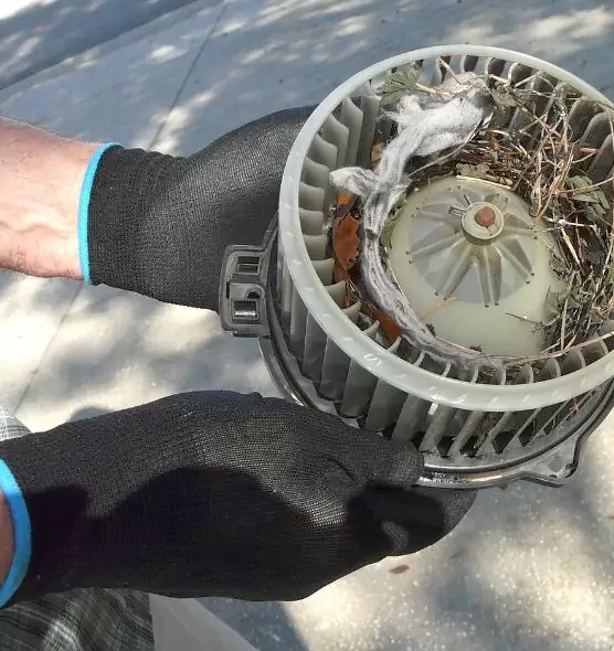 About Air Duct Rat Removal in Sunrise Manor, NV