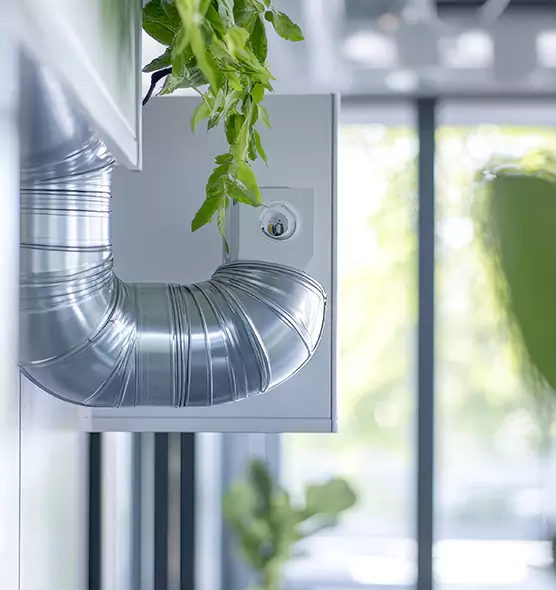 Professional Eco-Safe Dryer Vent Cleaning in Sunrise Manor, NV