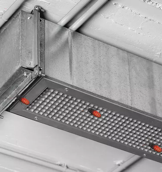 Affordable Insect Removal from Air Ducts in Sunrise Manor, NV