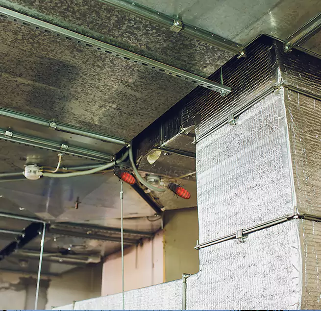 Why Homeowners & Businesses Trust Us Sunrise Manor, NV?